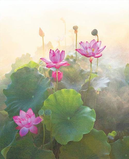 善心是最好的风水：《心命歌》的现代启示录(图2)